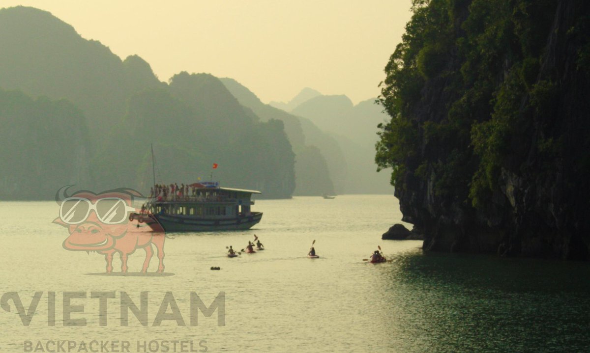 VBHostels's tweet image. #halongbay #vietnam #vbh #theoriginalcastawaysvietnam #notjustabed #sunset #kayaking #7wonder #ttot #trrvel