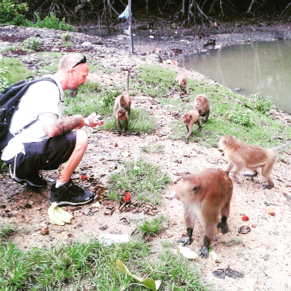 midlifemate's tweet photo. How to be scared shitless of #Thaimonkeys and still feed them #thaihacking
http://t.co/tSkPmOIXwJ http://t.co/SzLPexIefo