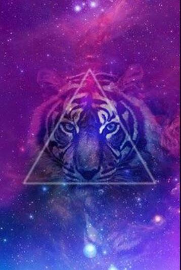 NikolNica's tweet photo. #tipotiger http://t.co/siL5RjEDJG