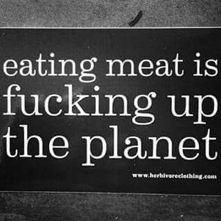 VeganVenturer's tweet image. #farm365 #vegan #4Animals #4Health #4Hungry #4Planet #Evolve #GoVegan