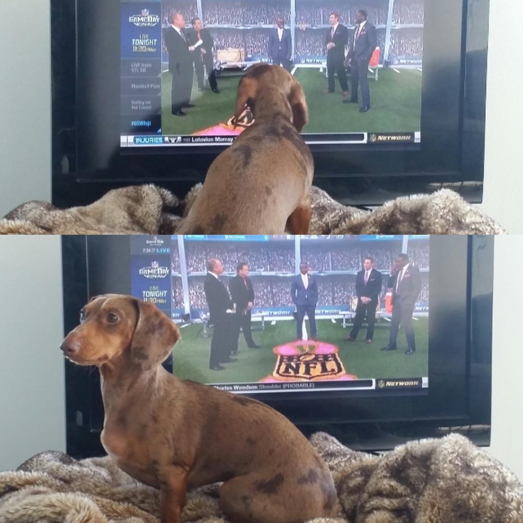 RegCan's tweet photo. @NFLGameDay "Go long." #GameDayRollCall http://t.co/wQzQ3zerCc