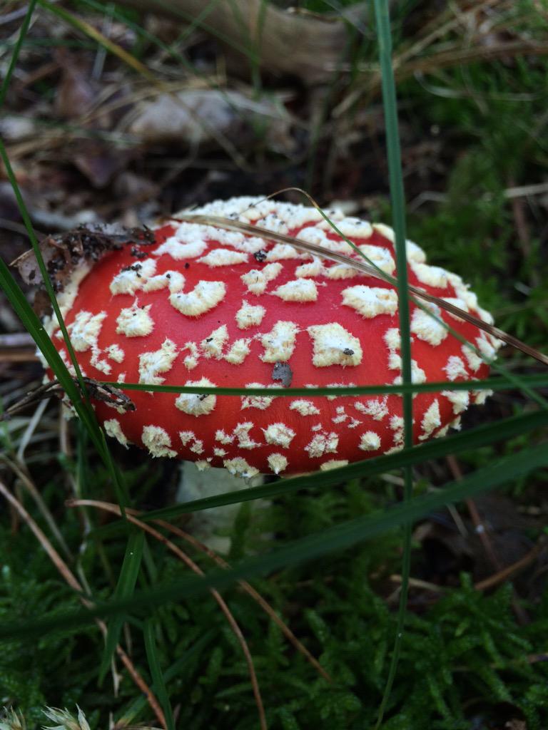 Bron: Rob Mastenbroek