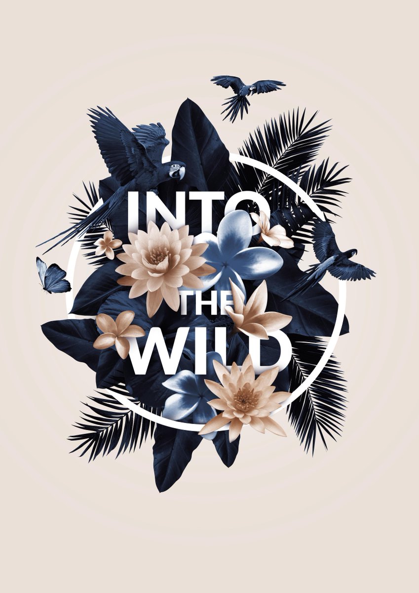 Kevinbth's tweet image. New floral project #floral #flowers #palm #wild #typography #letters #art #graphicdesign
behance.net/gallery/301323…