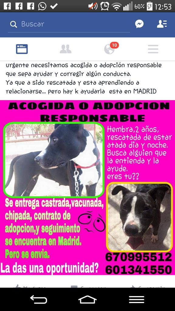 CRUCEMOS HUELLITAS tweet media