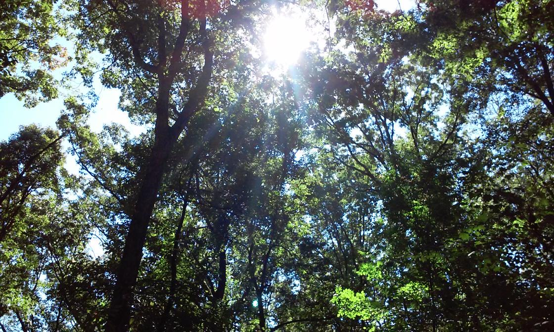 OneForTheDoc's tweet image. 