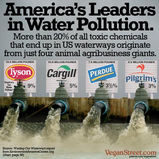 AgProgressUSA's tweet photo. @SMPender @NoPlanetaB RT #CleanUpCargill THIS @MeatFreeMonday Get Overt menu adjustment commitments! H2O healing<3! http://t.co/fOz3hTkf2N