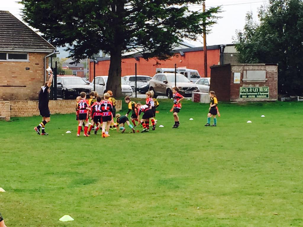 Mold RFC mini's tweet media