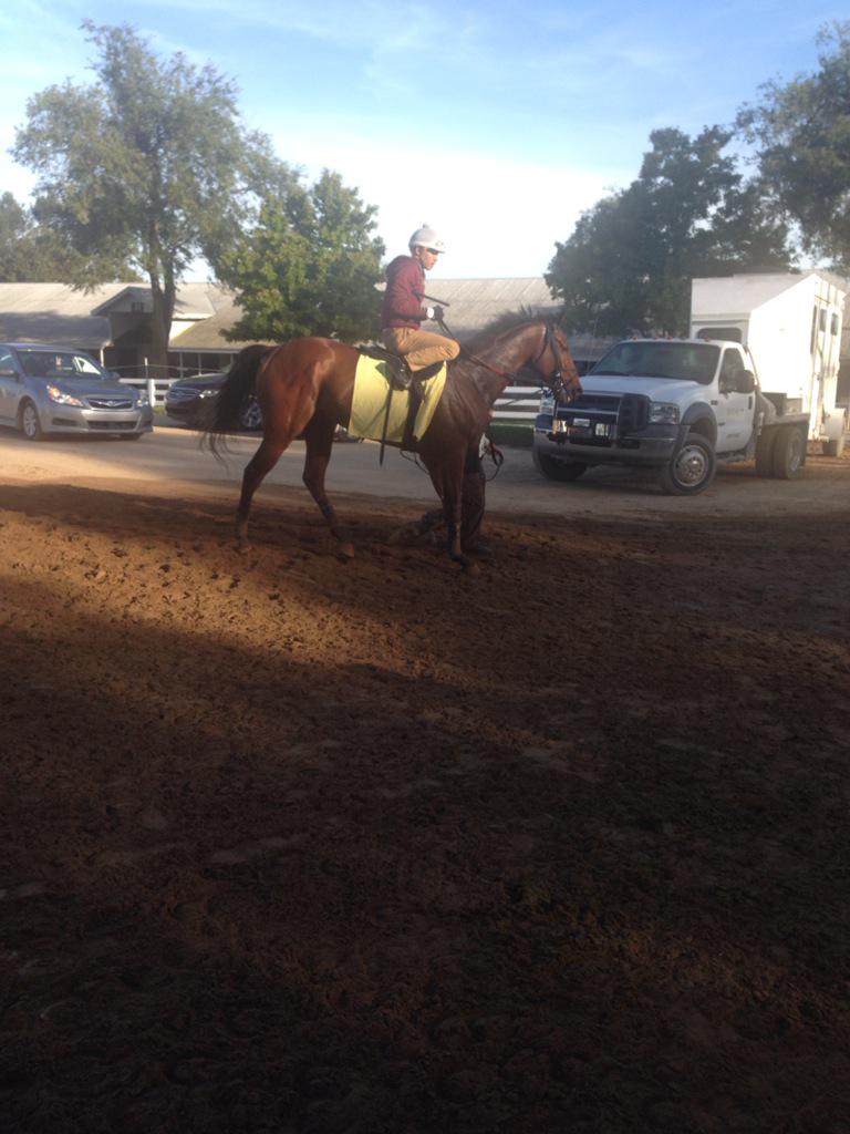 joesantos_33's tweet image. @DDLOsorio and Ordak Dan covered the 5/8 in 59 2/5 #BCTurf