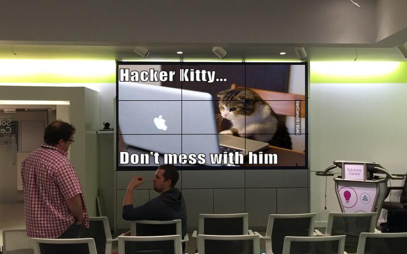 #RBS_HMTB Probably not what they meant when they asked us to hack the bank...