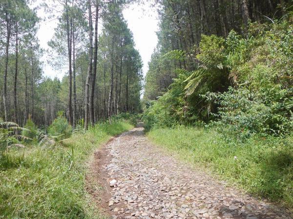 infobdg's tweet photo. Gunung Putri Lembang, ayo wisata alam ah! http://t.co/AGdZDgSLCv #wisataBDG http://t.co/Es3p8nVPau