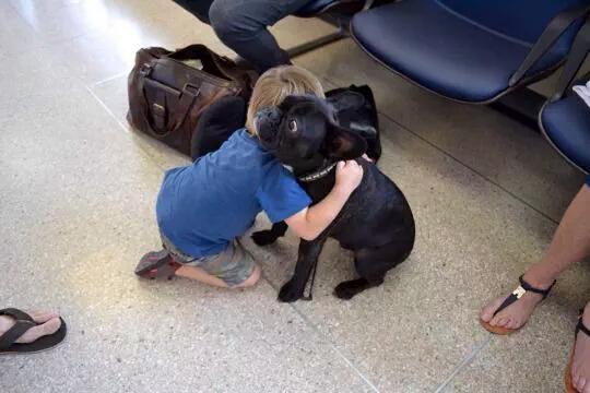 odeusogrego's tweet photo. eu quando vejo um cachorro http://t.co/GcFmJApE0k
