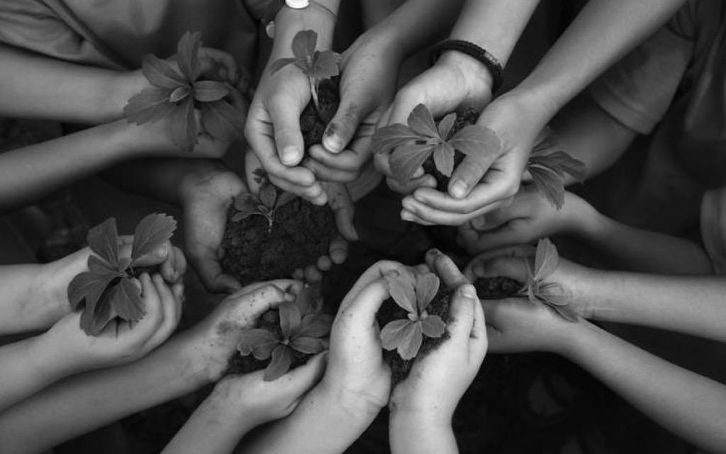 Cuidar a quienes nos rodean es tan importante como proteger nuestro medioambiente. #ViveSustentable