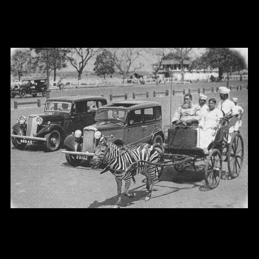Oh!Calcutta tweet media