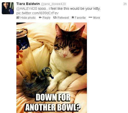 Throwback to when someone found pic of MY OWN cat and said it should be mine ☺️ the Internet also made