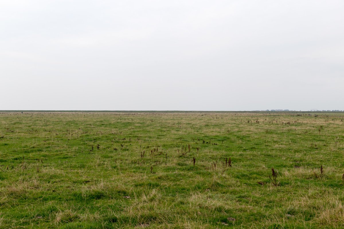peter_howlett's tweet photo. grass and sky. http://t.co/FRe2GG1QIu
