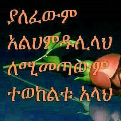 ሰአዳ ሰይድ (@sasadaseid) on Twitter photo 