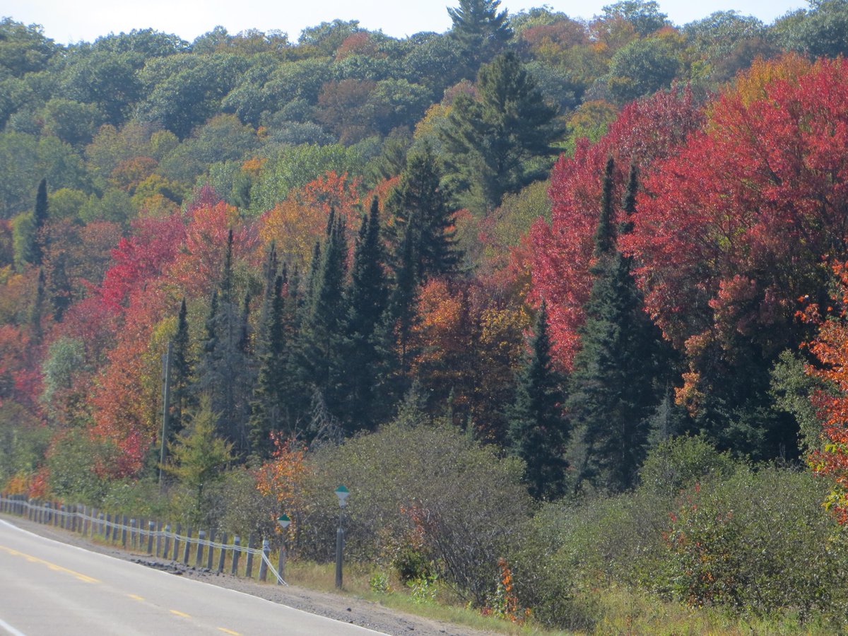 @TaniaPalme @Parthenon1 @BrentToderian @BLStonehouse @TedDuArte Ontario Thanksgiving Day, 2015