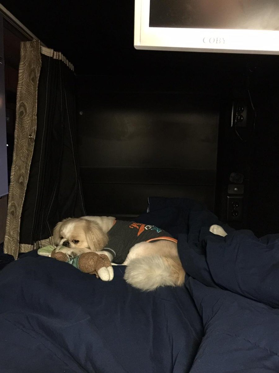 kennedy_cookie's tweet photo. RJ SLEEPS IN HIS OWN BUNK ON BUS http://t.co/MoTCe8qGlH