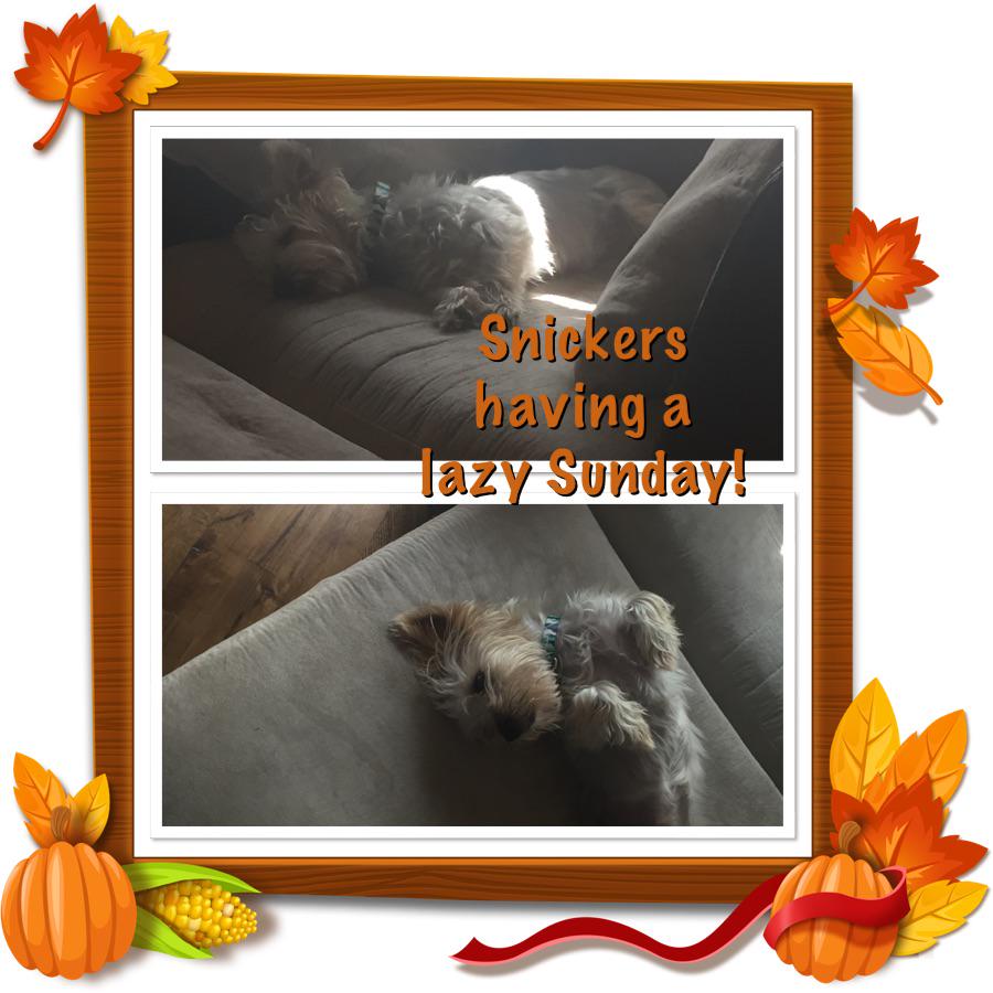 Janna Harding (@jannaeremita) on Twitter photo 