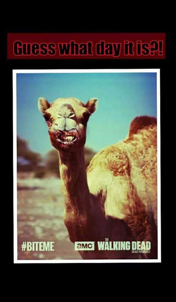 JessSerc's tweet photo. Guess what day it is?! Who else can't wait for tonight! #TheWalkingDead #TWD #TWDSeason6Premiere @WalkingDead_AMC http://t.co/LEFoqDQf3C