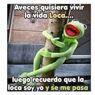 LaWHEN25's tweet photo. Ayyy #Amixa nadie tiene tanta razón como tú... y ¿Quién me conoce mejor? Pues túúúú http://t.co/0eYQ4rPdd4
