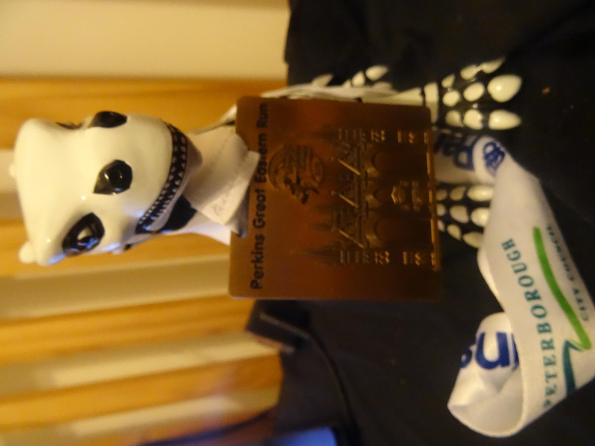 drumming_yoda's tweet image. First dragon over the line! Now for some cake! @PerkinsGER  #dragonslovecake