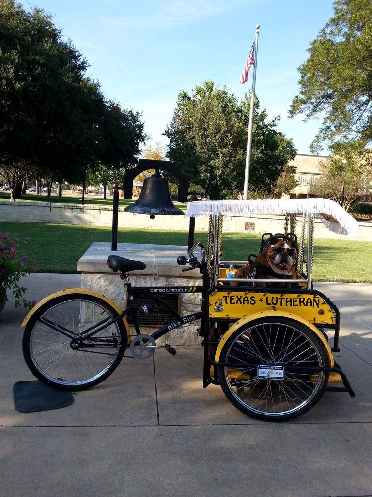 TLULouie's tweet photo. 2015 Ready for Homecoming, shades and all http://t.co/hvYgex0AFg