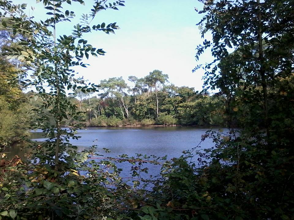 LaniaConteuse's tweet photo. #Campel #Bretagne ses charmes http://t.co/LaaMt92YB6