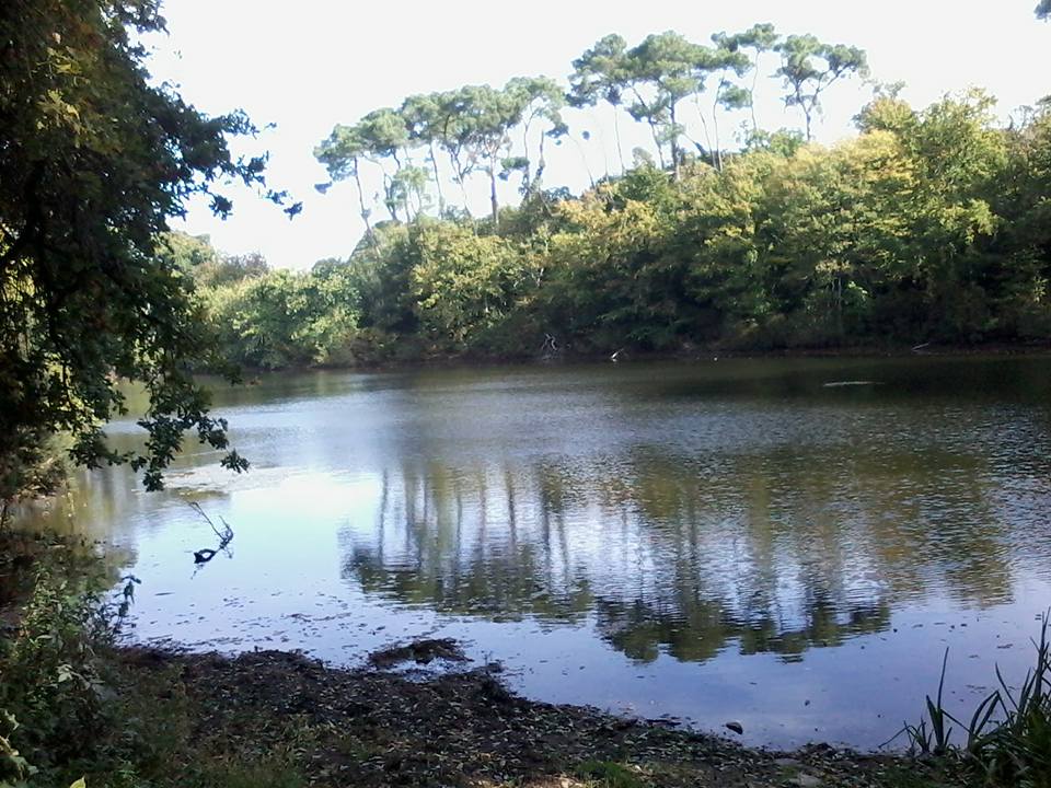LaniaConteuse's tweet photo. #Campel #Bretagne ses charmes http://t.co/LaaMt92YB6