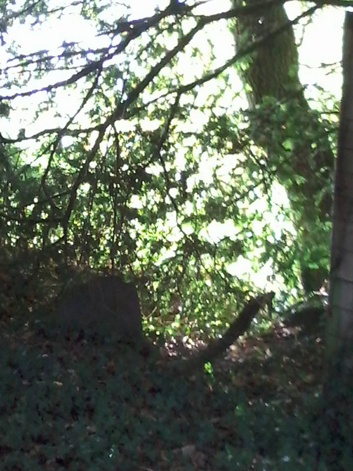 LaniaConteuse's tweet photo. #Campel #Bretagne ses charmes http://t.co/LaaMt92YB6