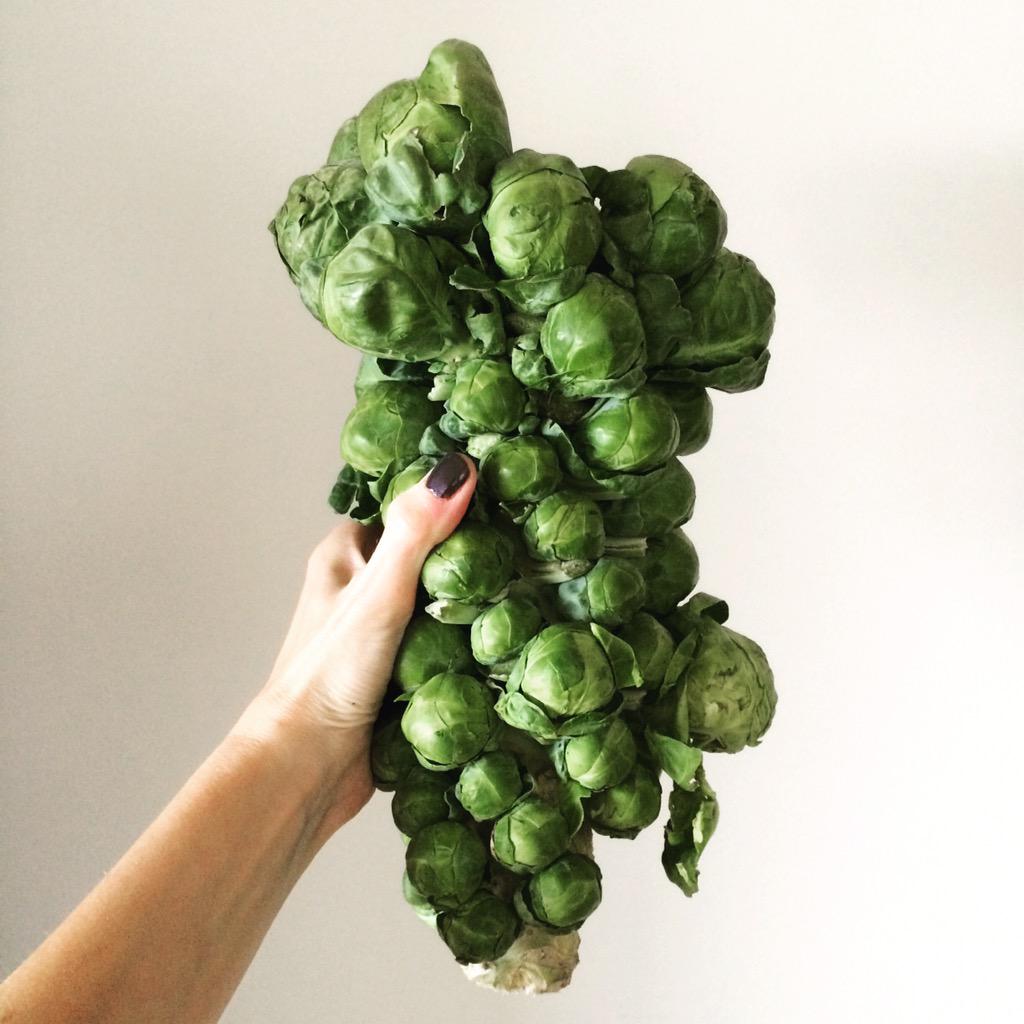 Behold--the Thanksgiving Sprouts Stalk from @CityMarket104. Happy nomming! #JERF #eathealthrive #eatyourveggies #yeg