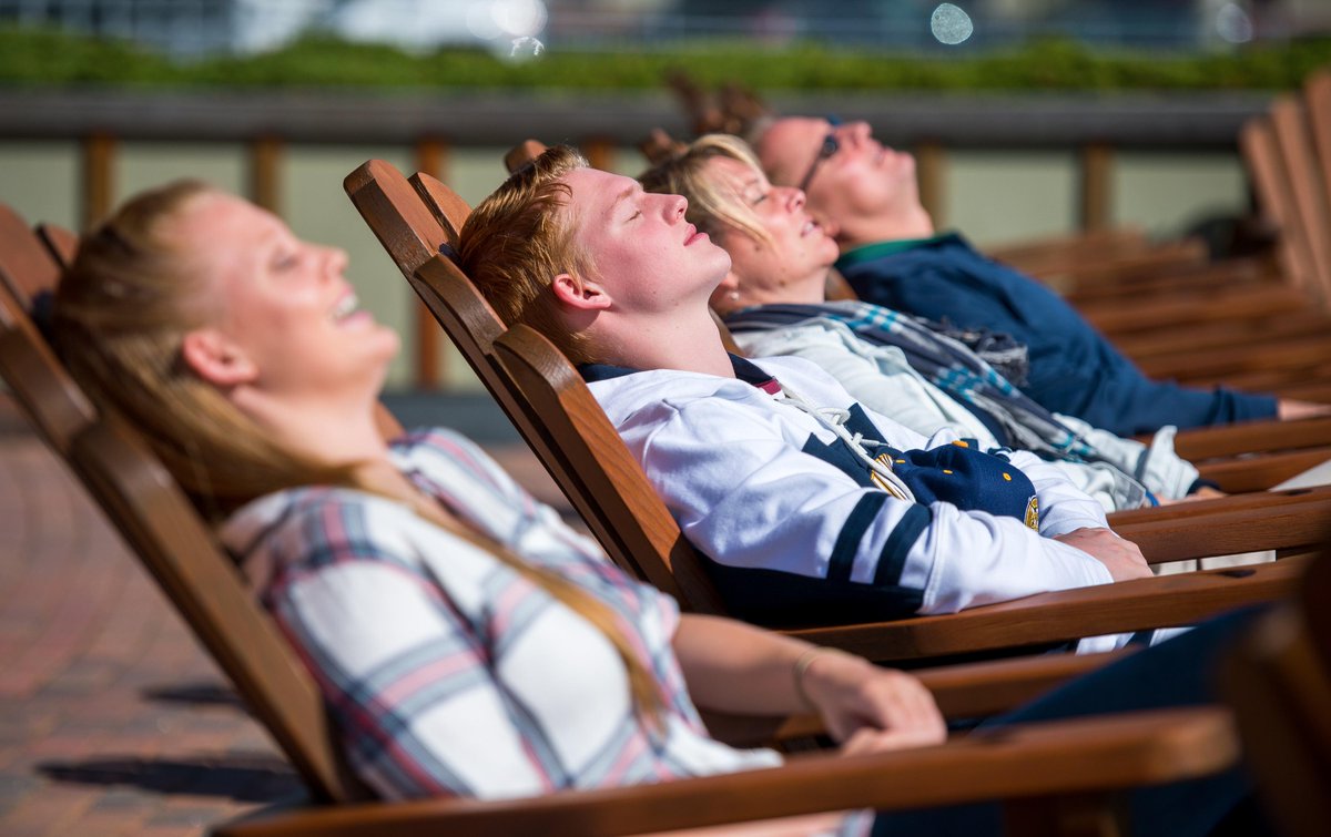 QuinnipiacU's tweet photo. Our campuses have been energized as thousands of students and their families reconnect for some autumnal fun! http://t.co/Aby3Ei0ACF