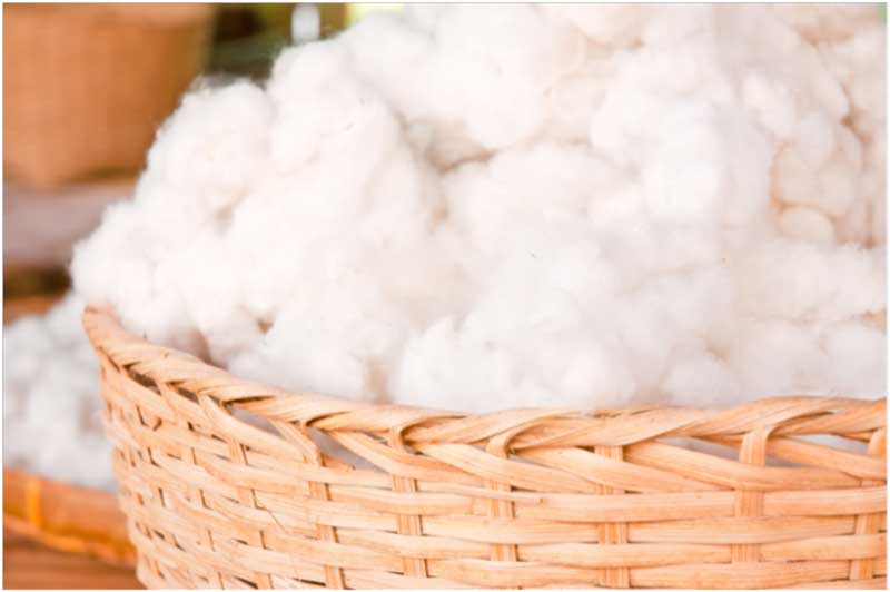 TinyTots_Baby's tweet image. Want No Sweat? – Cool Comfortable Cotton is the Answer! #babychic #pramliners #cotton buff.ly/1LnfRge