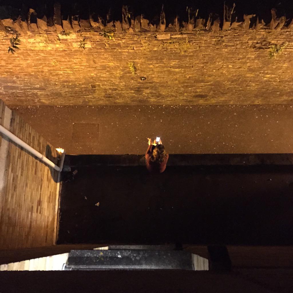 Yuzhen (@yuzhencai) on Twitter photo 