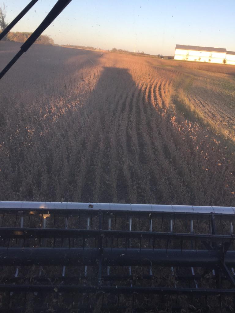VitucciFarms's tweet photo. Another #binbusting champion from @PRIDESEEDS lineup. Get your orders in for these beauties 2834LL. http://t.co/oamCpokODn
