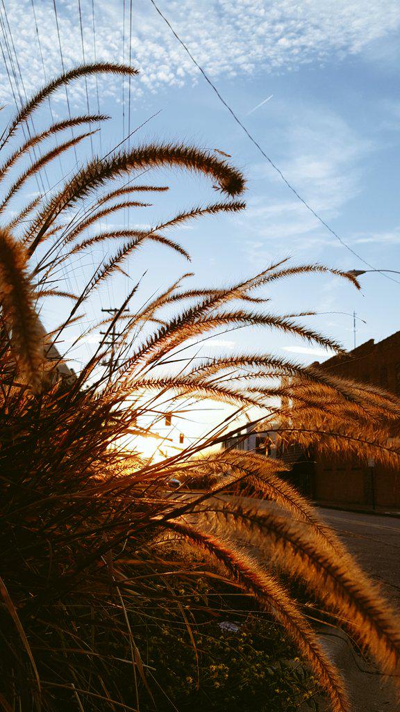 FallupArt's tweet photo. http://t.co/jQrOI2zlwi
@FallupArt @rbethridge @bARTenderPix @stephanostudios #autumn #oldbarn http://t.co/cZ7ZAaen9S