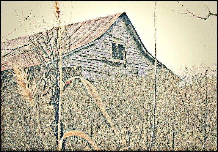 FallupArt's tweet photo. http://t.co/jQrOI2zlwi
@FallupArt @rbethridge @bARTenderPix @stephanostudios #autumn #oldbarn http://t.co/cZ7ZAaen9S