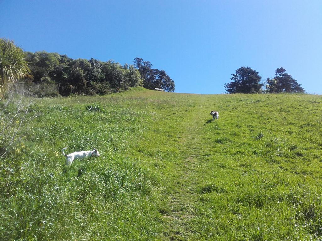 makeithereNZ's tweet image. When your view looks like this, and it's not even Summer yet 🌞 #whywellington #nofilter