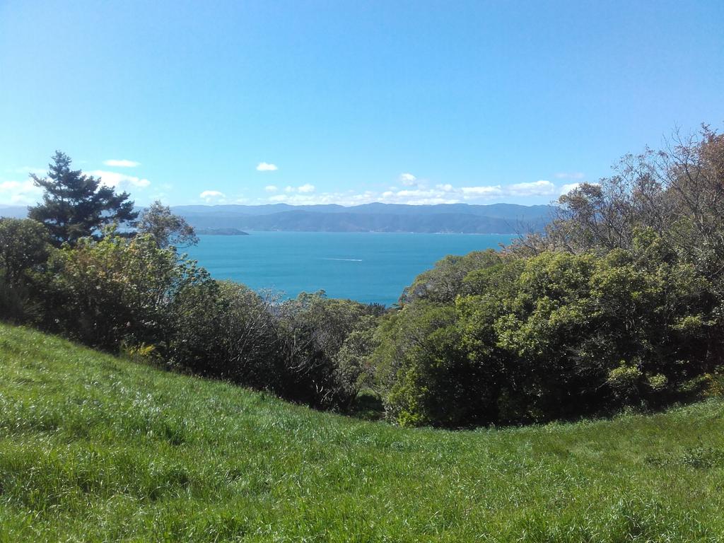 makeithereNZ's tweet image. When your view looks like this, and it's not even Summer yet 🌞 #whywellington #nofilter