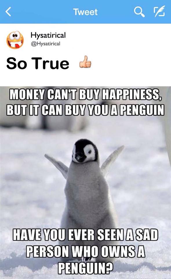 Hysatirical's tweet photo. http://t.co/A24vOHEvc5