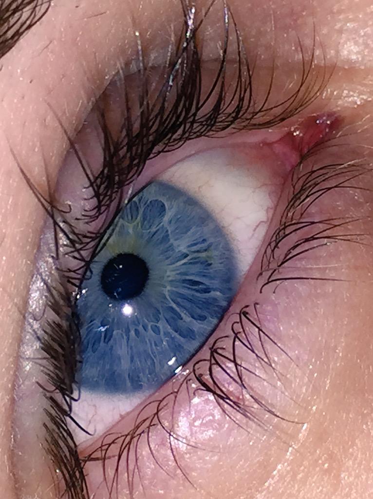 kay_cee1210's tweet photo. I be all up in bae'a business! How pretty is his eye color tho !!! #futurebabies 😂 http://t.co/TVPYs9CP3U