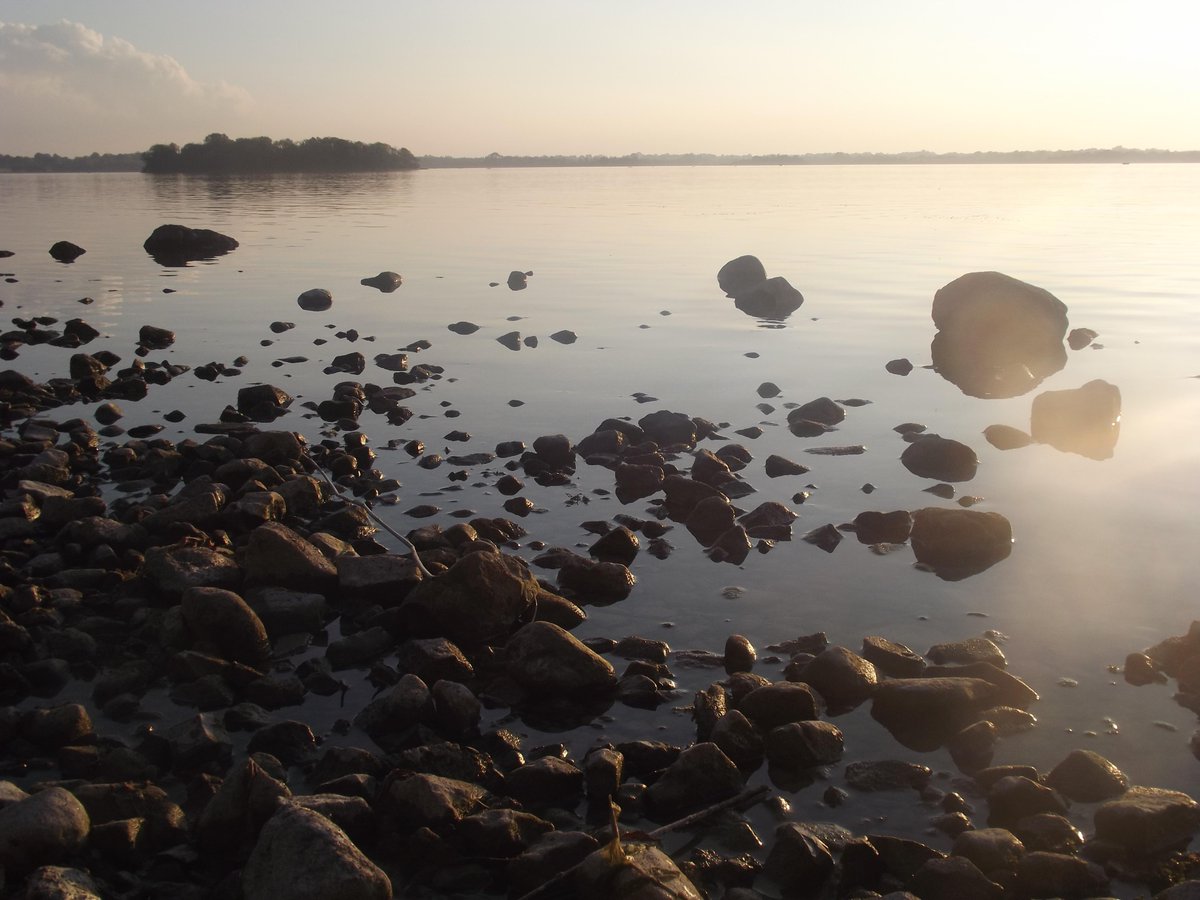 LadyofMagMell's tweet photo. Lough Owel, Co. Westmeath. Water was so clear this evening  #perfect http://t.co/jk9nuxEobn