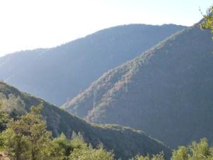 The sensuous allure of being alone acourseoflove.com/the-sensuous-a…