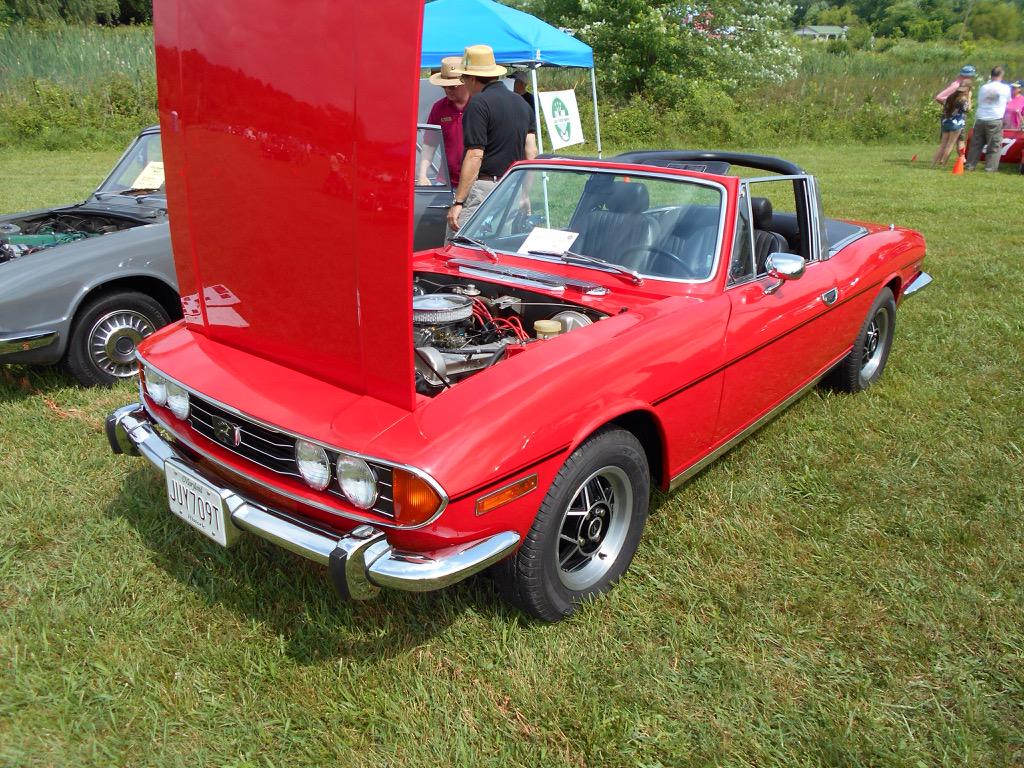 mytvt3's tweet photo. Goodnight #TriumpStag http://t.co/Xs6VCHzqwC