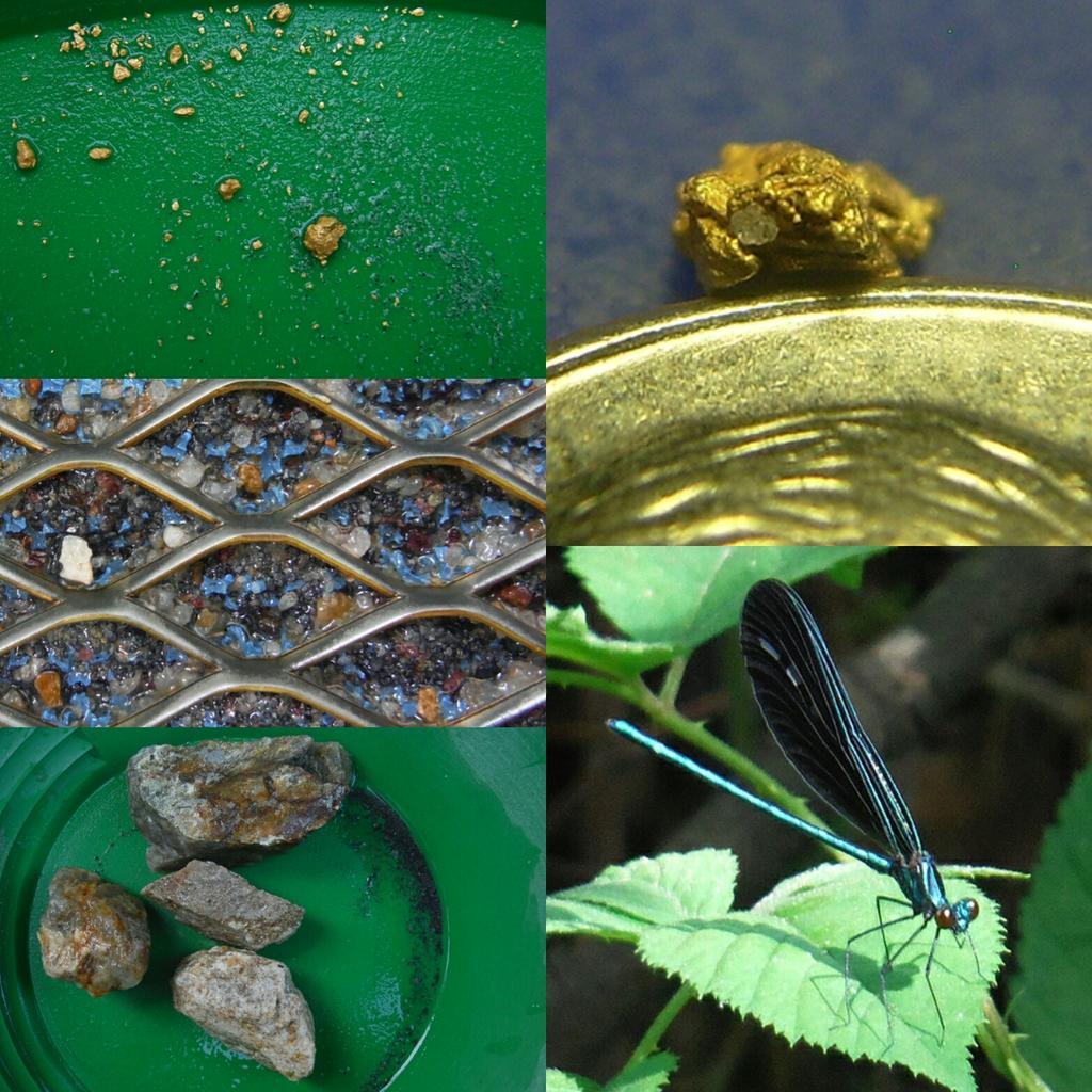 sluicelee's tweet photo. #highbanking trip, dug up a nice #picker with a touch of #quartz on the inside. #goldprospecting #thegreatoutdoors http://t.co/rWQpwIyFhC