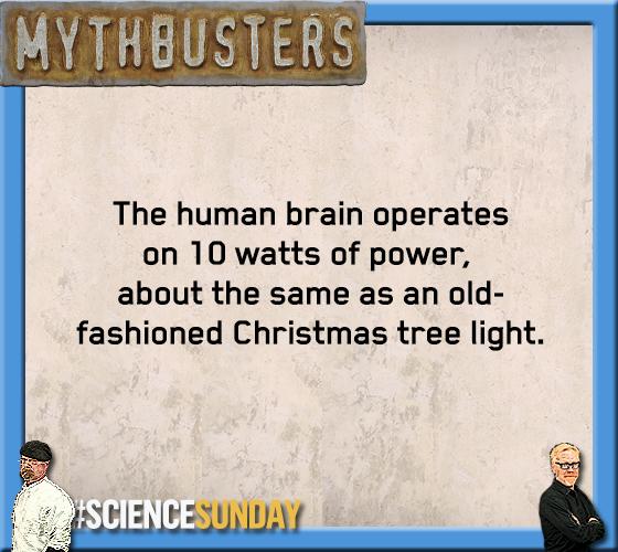 MythBusters's tweet image. Don't take this the wrong way, but you're a dim bulb. #ScienceSunday