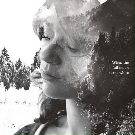 Allison (@writemeaticket) on Twitter photo 