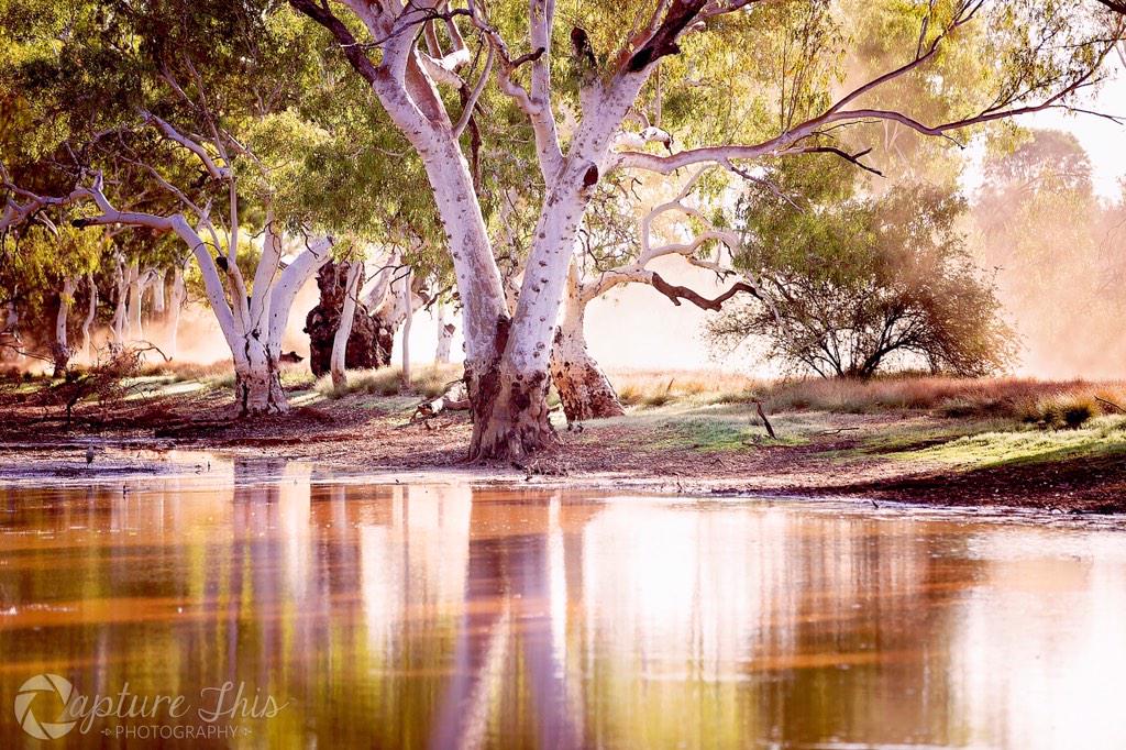 CaptureThis_P's tweet image. Dusty @PilbaraNews @PilbaraInfo @WestAustralia @CanonAustralia @austnorthwest @explore_oz