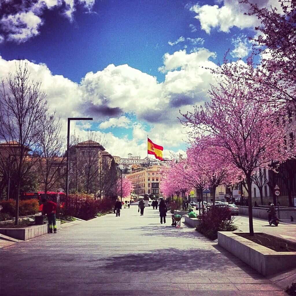 mfgranaina's tweet photo. Hoy día de la Hispanidad!! Felicitamos a todas las Pilar y a todos los españoles!! Y que viva Granada! #mf http://t.co/tMp5T4i1y3