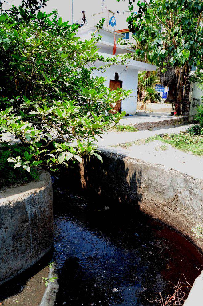 thetribunechd's tweet photo. #Ramdev’s #divyadas Pharmacy, the polluter http://t.co/y5mpkj9KBq http://t.co/rg3ctrJxqV